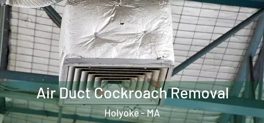  Air Duct Cockroach Removal Holyoke - MA