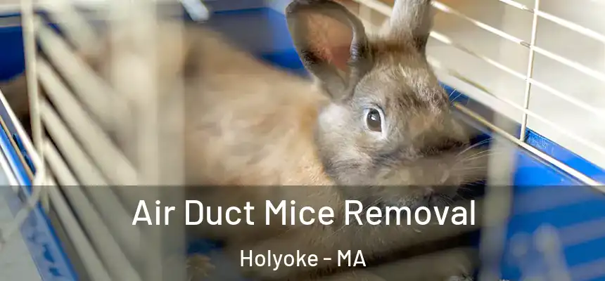 Air Duct Mice Removal Holyoke - MA