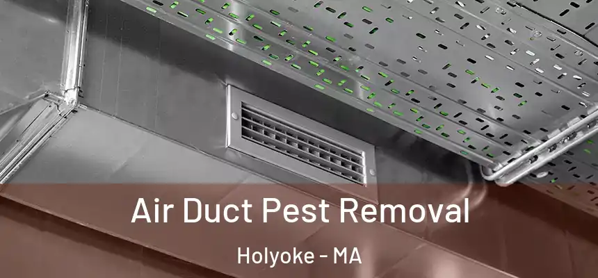  Air Duct Pest Removal Holyoke - MA