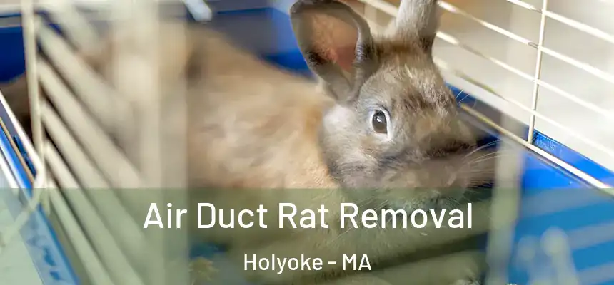  Air Duct Rat Removal Holyoke - MA