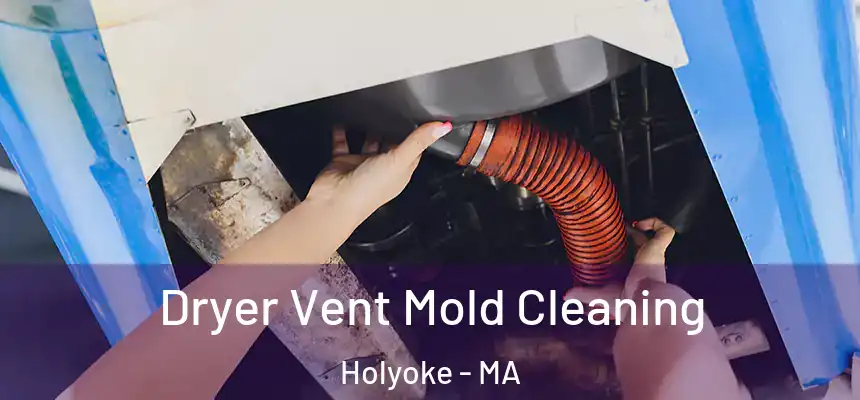  Dryer Vent Mold Cleaning Holyoke - MA