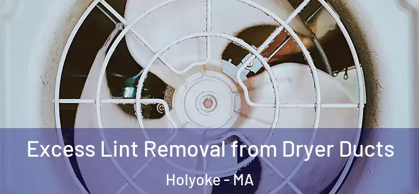  Excess Lint Removal from Dryer Ducts Holyoke - MA