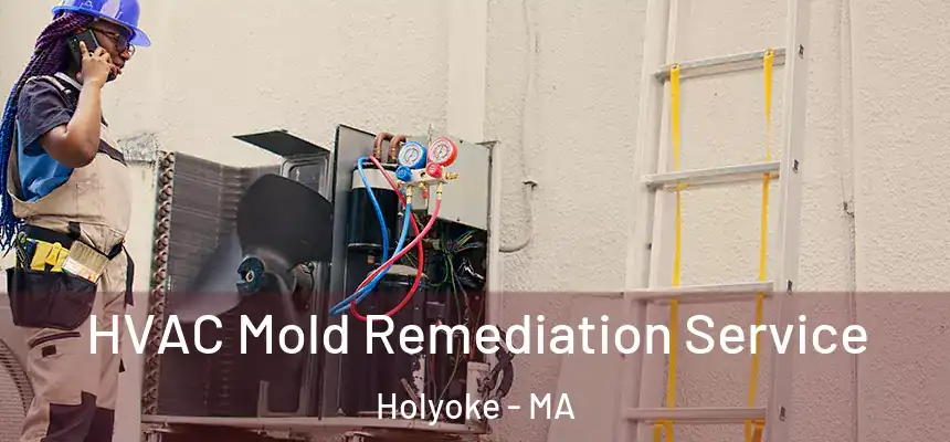  HVAC Mold Remediation Service Holyoke - MA