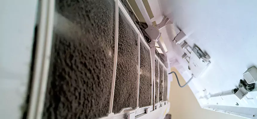 Preventive Air Duct Bacteria Removal in Holyoke