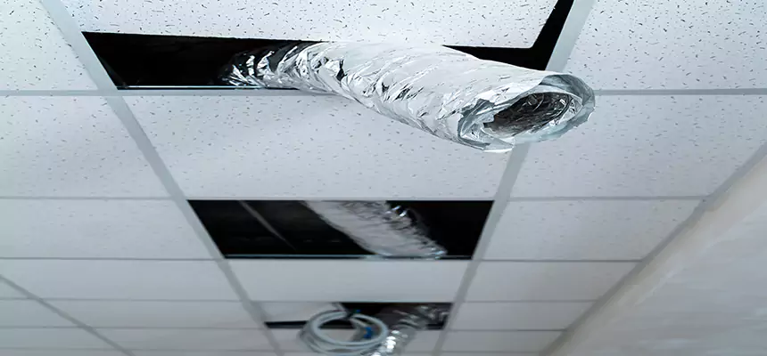 Affordable HVAC Sanitizing After Pest Removal in Holyoke