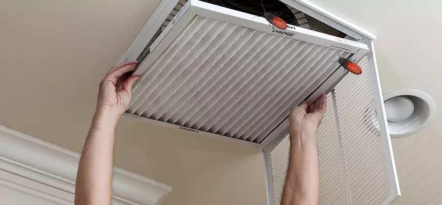 Our Insect Removal from Air Ducts Services in Holyoke, MA