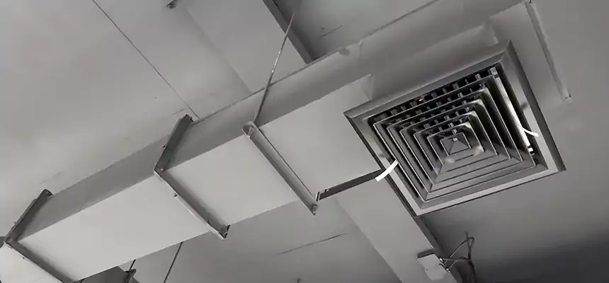 Our Rodent Droppings In Vents Services in Holyoke, MA