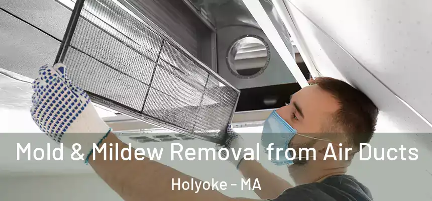  Mold & Mildew Removal from Air Ducts Holyoke - MA