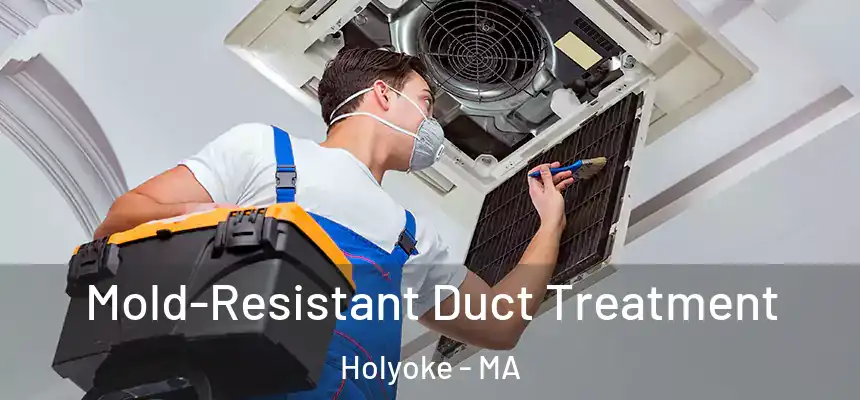 Mold-Resistant Duct Treatment Holyoke - MA