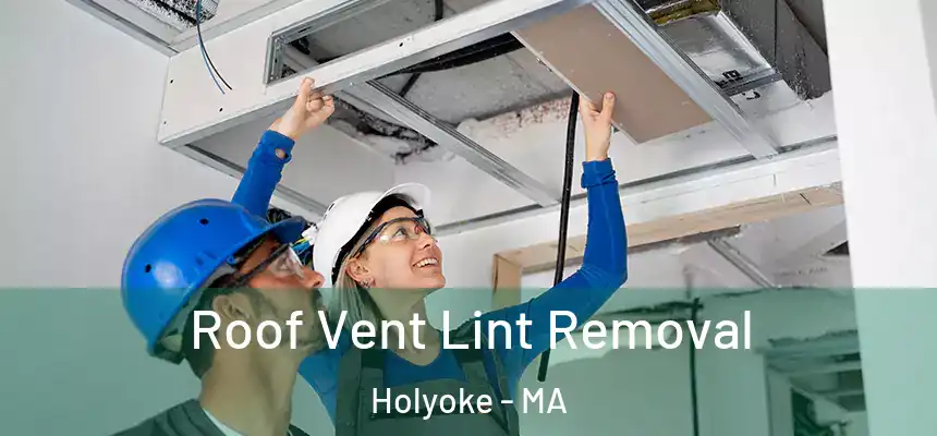  Roof Vent Lint Removal Holyoke - MA