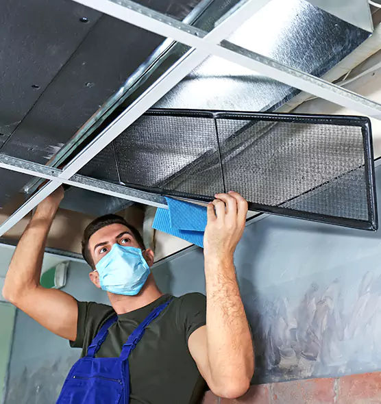 About Air Duct Bacteria Removal in Holyoke