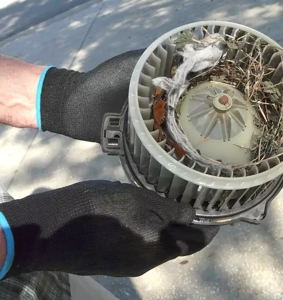 About Air Duct Mice Removal in Holyoke, MA