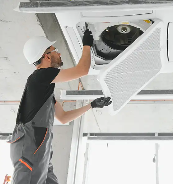 About Air Duct Rodent Removal in Holyoke, MA