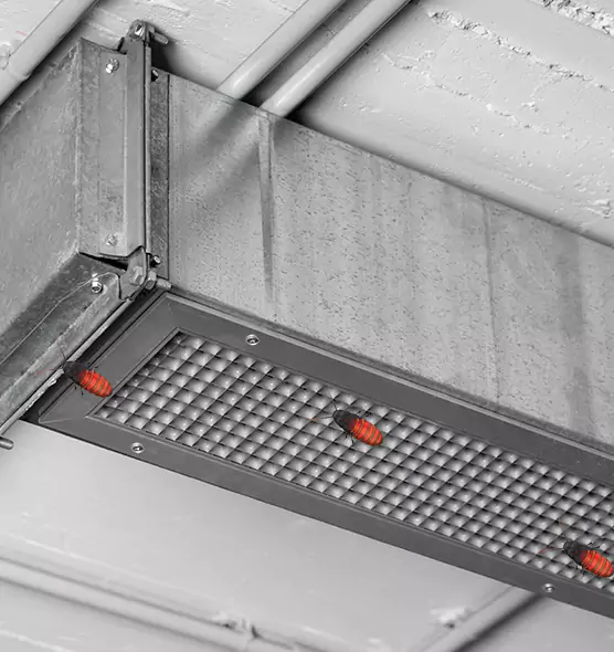 Affordable Insect Removal from Air Ducts in Holyoke, MA