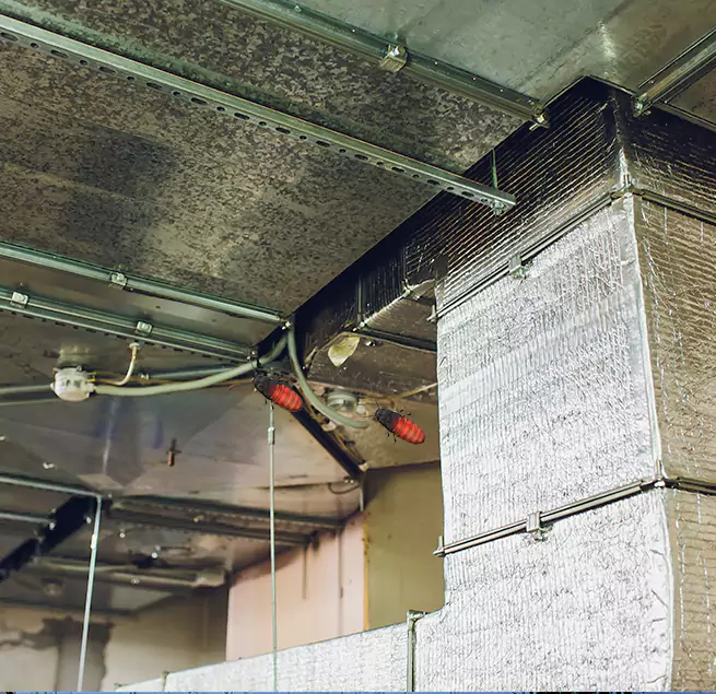 Why Homeowners & Businesses Trust Us in Holyoke, MA?