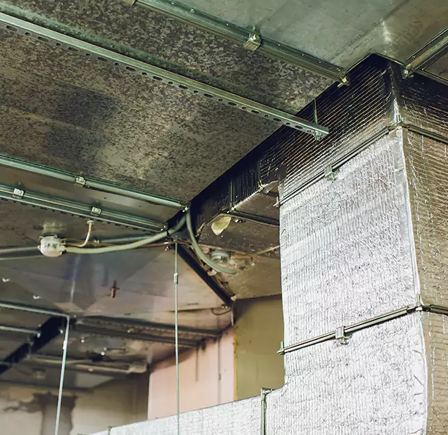 Why Homeowners & Businesses Trust Us in Holyoke, MA?